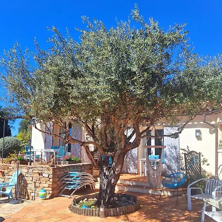 Des Delices * Grimaud